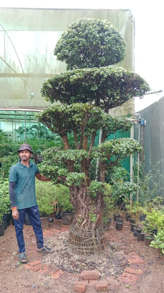 whatsapp image 2025 09 21 at 10.54.02 am