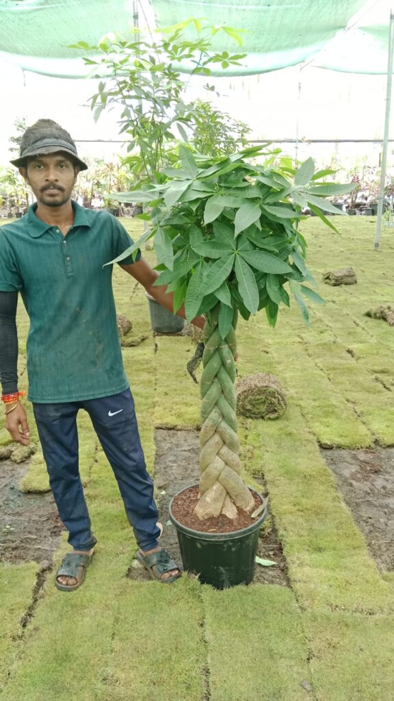 whatsapp image 2025 09 21 at 10.54.04 am