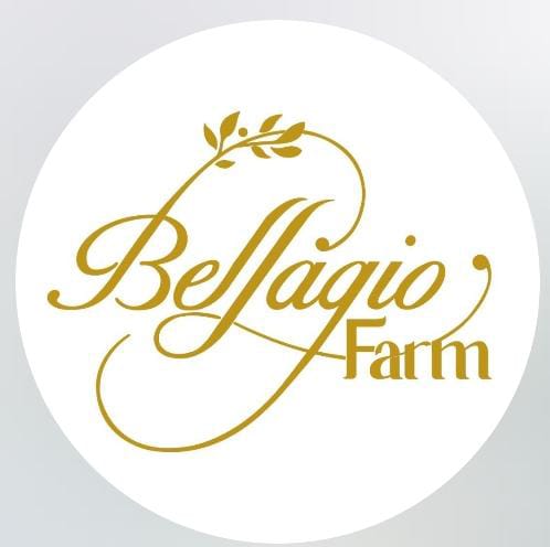 whatsapp image 2025 09 26 at 3.49.54 pm