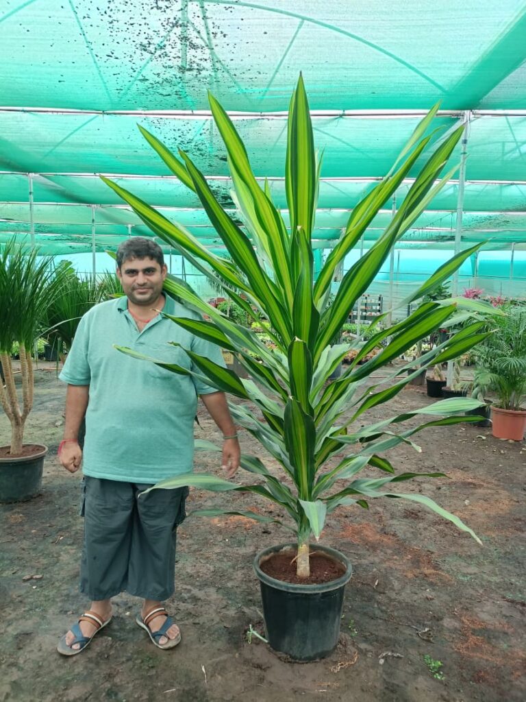 whatsapp image 2025 09 26 at 5.02.56 pm