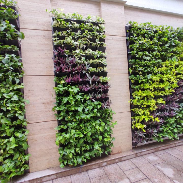 whatsapp image 2025 10 04 at 5.38.24 pm